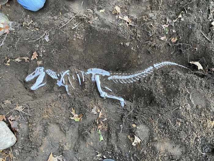 "Wydrukowałem metrowy szkielet tyranozaura i zakopałem go na moim podwórku do odkrycia i odkopania przez moje siostrzenice."