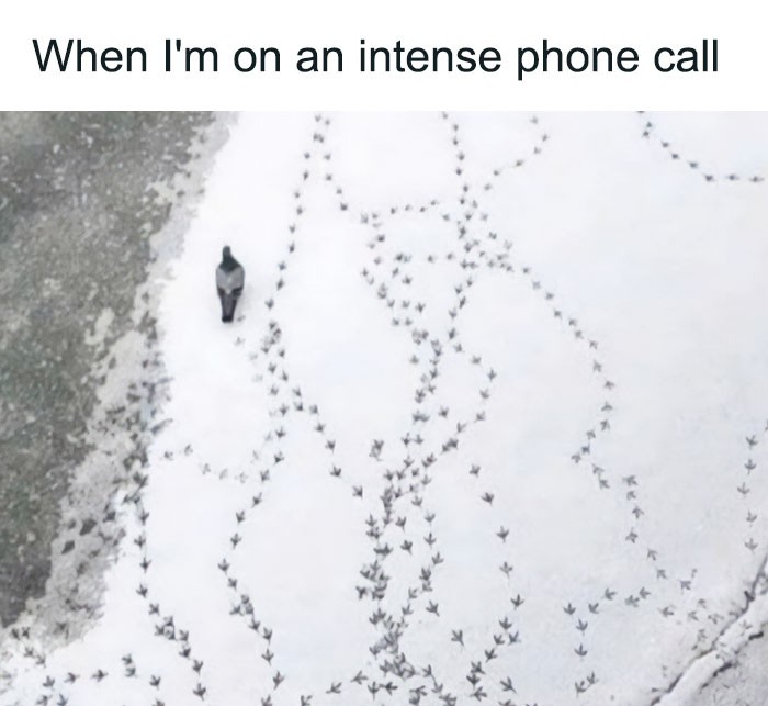 "Gdy jestem w trakcie intensywnej rozmowy telefonicznej"
