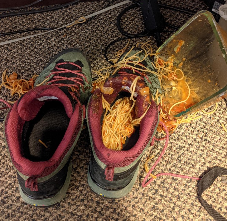 "Upuściłem spaghetti, które wpadło mi do buta."