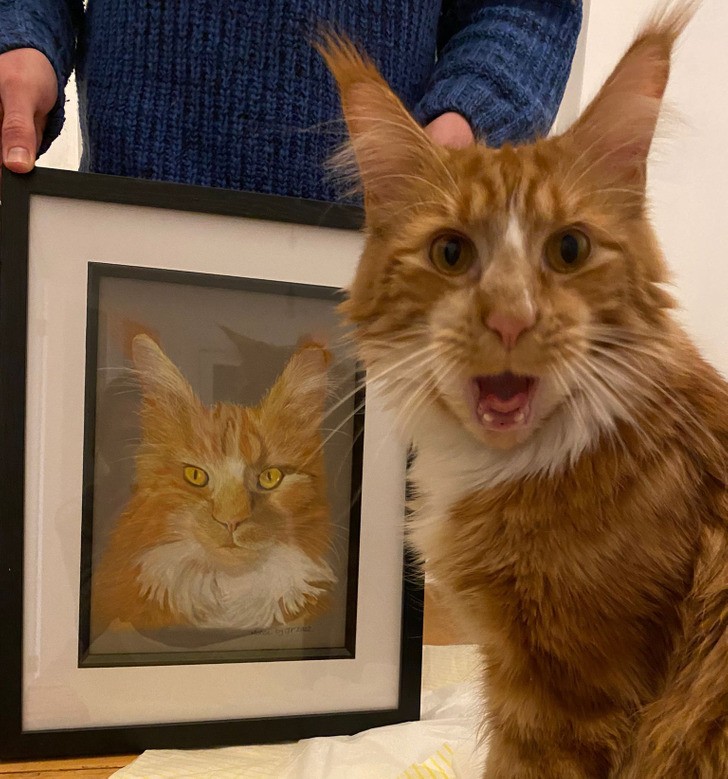 "Dziś są pierwsze urodziny mojego kota. Moja mama zamówiła z tej okazji jego portret i był tym bardzo zaskoczony."
