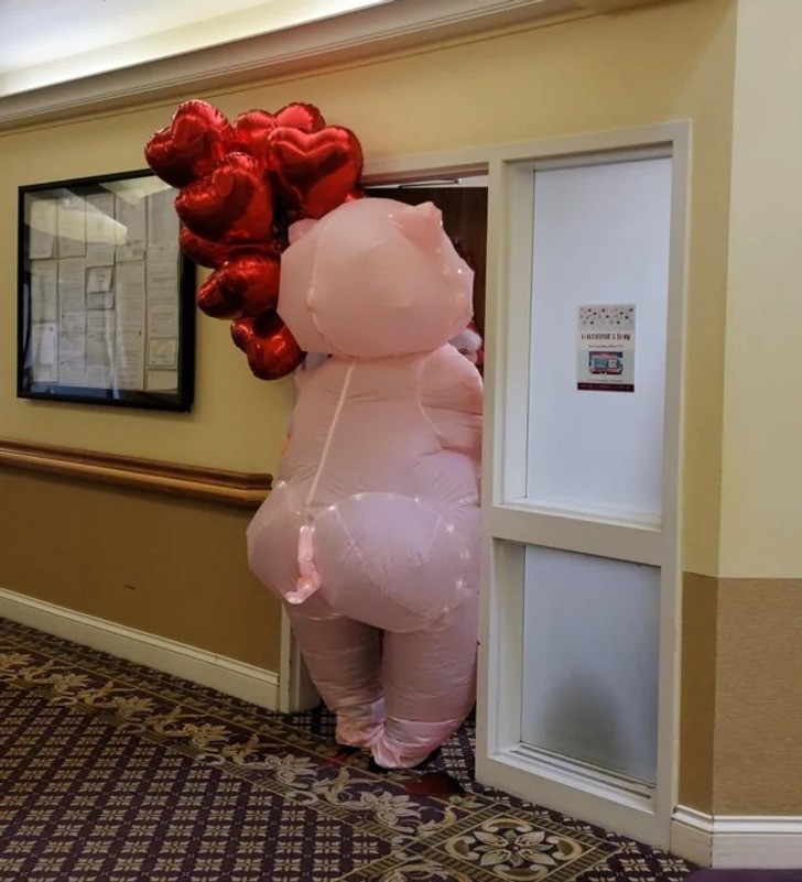 "Ogromna świnka dostarczająca pacjentom balony na walentynki"