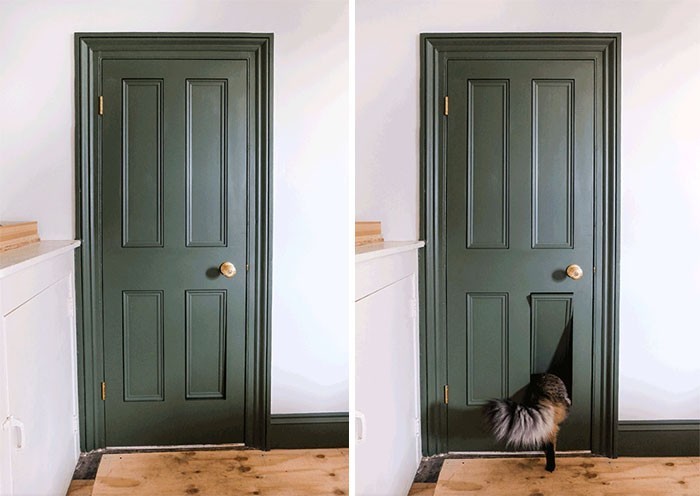 6. Drzwi z ukrytymi drzwiczkami dla kota