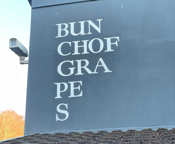 "Ta kawiarnia ma nazywać się "Bunch of Grapes" (Kiść Winogron), ale jej logo jest praktycznie nieczytelne."
