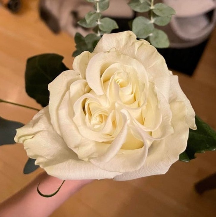 5.