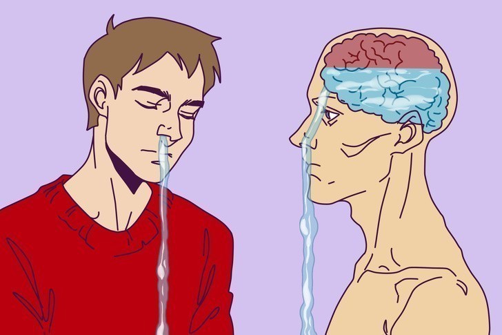 9. Płyn wypływający nam z nosa może pochodzić z mózgu.