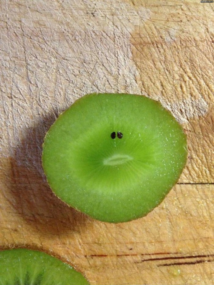 11. Smutne kiwi