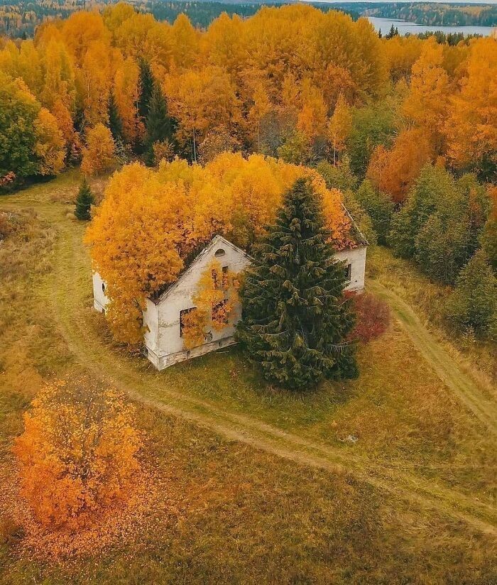 Opuszczony dom w Republice Karelii w Rosji