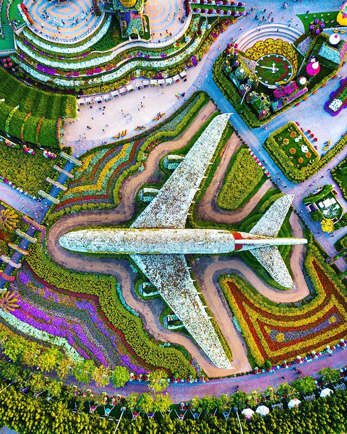 "Miracle Garden - największy ogród botaniczny na świecie - znajduje się w Dubaju."