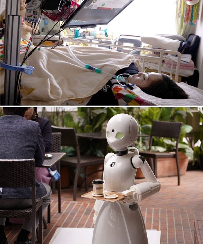 1. Pewna kawiarnia w Japonii zatrudnia sparaliżowane osoby, by kontrolowały roboty służące jako kelnerzy. W ten sposób, takie osoby mogą zarabiać pieniądze.