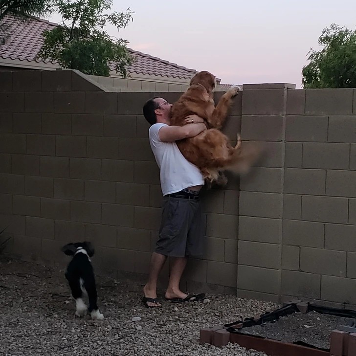 "Cooper od pewnego czasu nie jest w stanie bawić się z psem sąsiadów. Mój mąż podnosi go, by mógł się chociaż przywitać."
