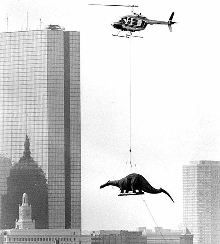 "Dinozaur transportowany do Muzeum Nauki w Bostonie"