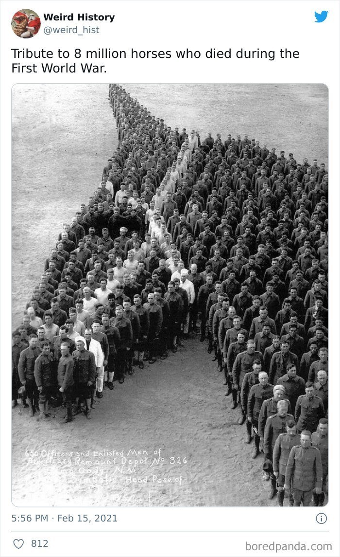 Hołd oddany 8 milionom koni, które zginęły podczas pierwszej wojny światowej