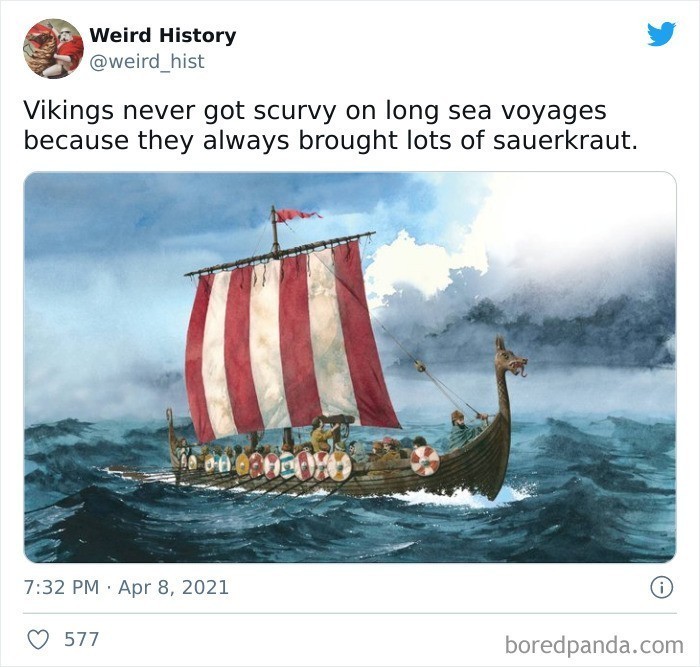 Wikingowie nigdy nie mieli problemu ze szkorbutem podczas długich morskich wypraw, gdyż zawsze zabierali ze sobą zapasy kapusty kiszonej.