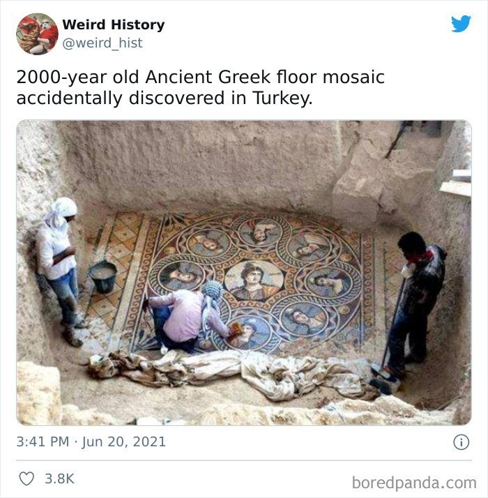 Grecka mozaika podłogowa sprzed 2 tysięcy lat, przypadkowo odkryta w Turcji
