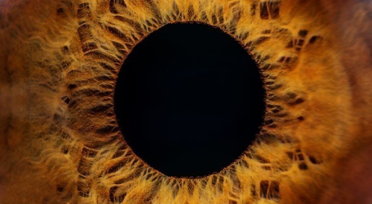 Ludzkie oko