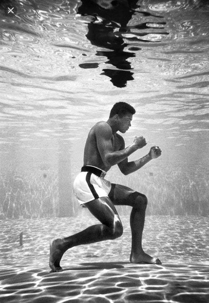 Muhammad Ali trenujący w basenie The Sir John Hotel w Miami, 1961