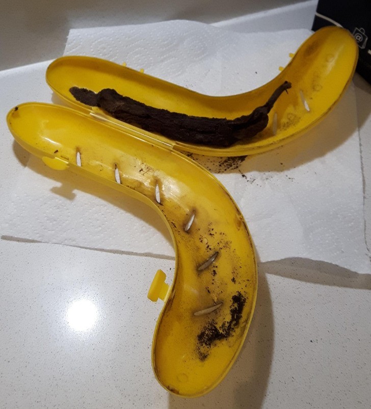 "Zostawiłem banana w pojemniku na pięć lat."