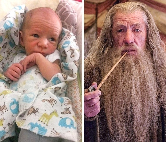 Gandalf znalazł swoją kopię!