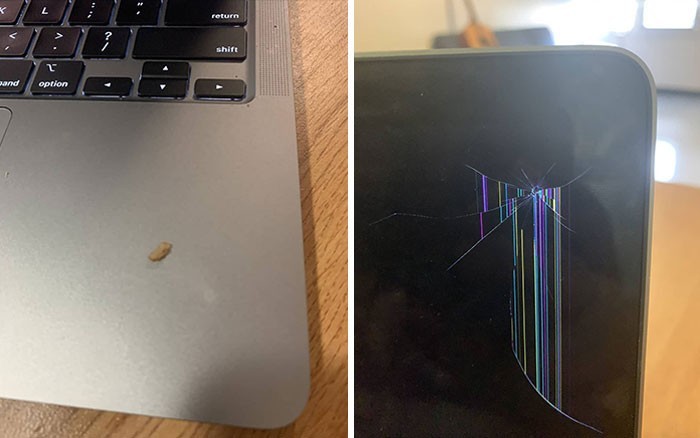 "Mój laptop został zrujnowany przez pojedyncze ziarenko ryżu."