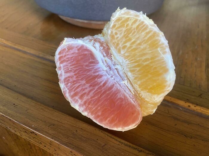 "Moja pomarańcza ma cząstki w różnych odcieniach."