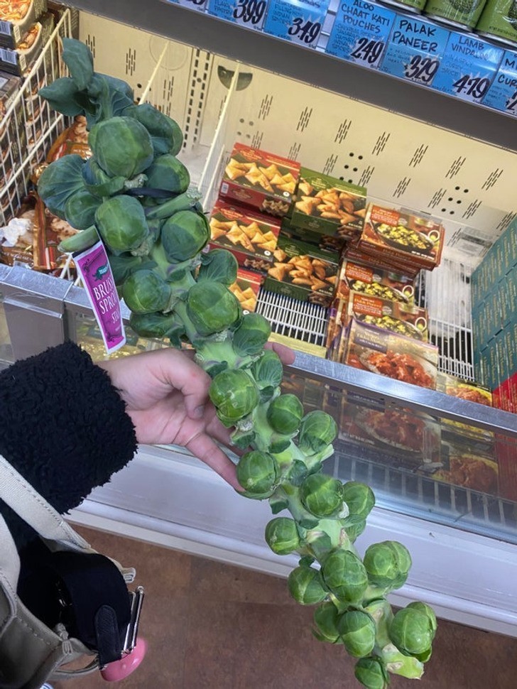 "Poważny napad lękowy trzymał mnie w domu przez zeszły tydzień, ale wreszcie udało mi się wyjść do sklepu i kupić warzywa."