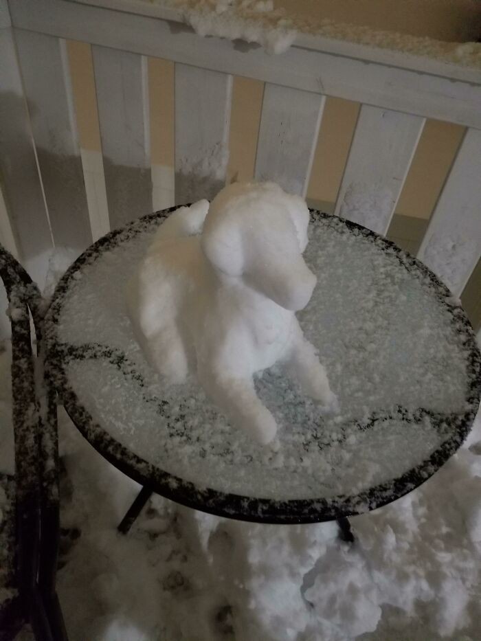 "Śnieżny szczeniak, którego spontanicznie ulepiła moja żona"