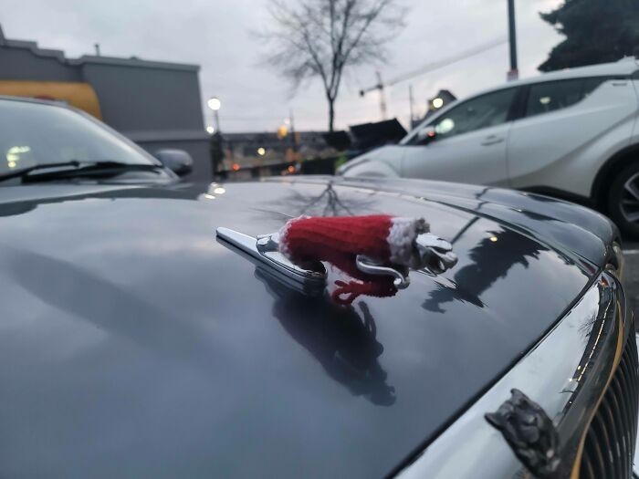 "Ktoś zrobił na drutach sweterek dla emblematu swojego auta."