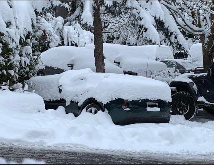 "Dach kabrioletu sąsiada zawalił się pod ciężarem śniegu."