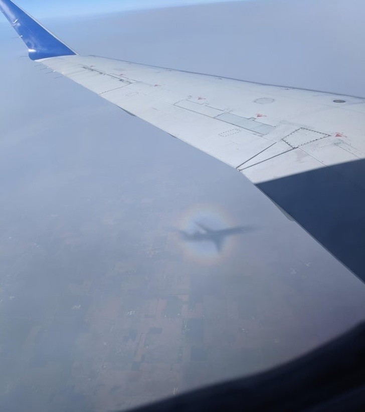 Pełna tęcza wokół cienia samolotu