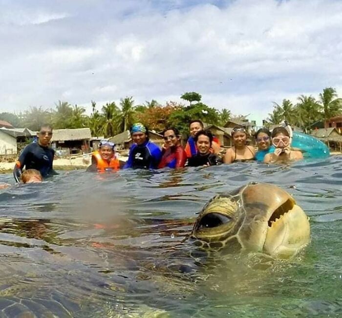 "Niespodziewana fotobomba"