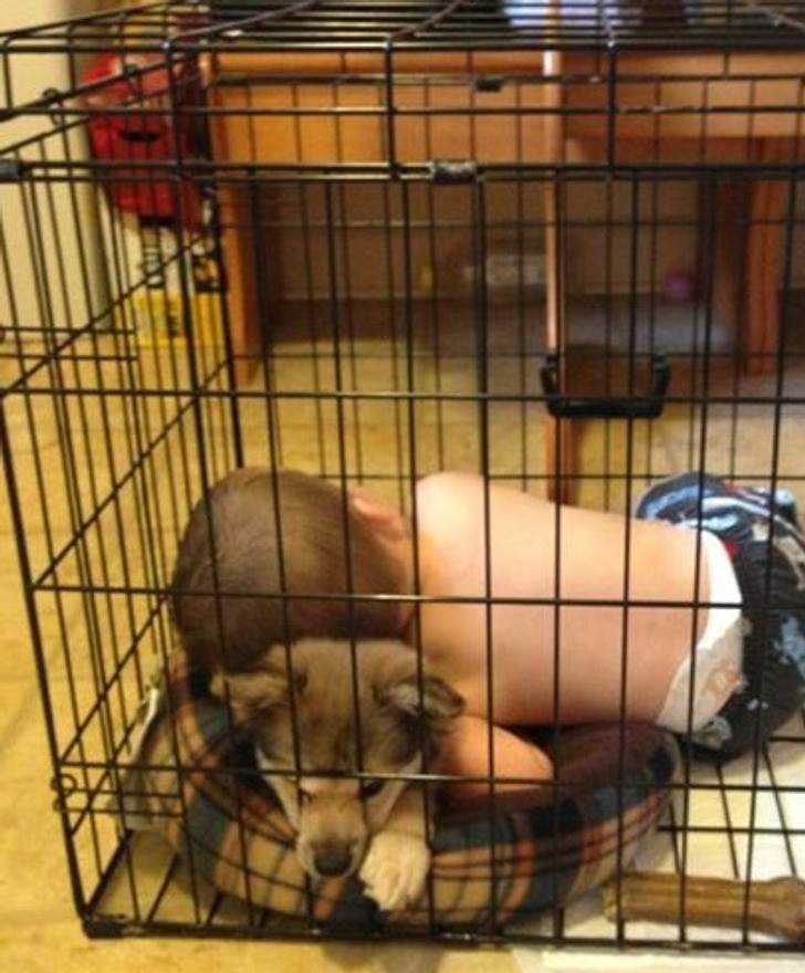 "Kuzynka adoptowała nowego szczeniaka, a jej syn uparł się, by dotrzymać mu towarzystwa podczas pierwszej nocy."