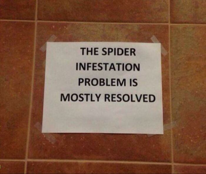 "Problem infestacji pająków został w większości rozwiązany."