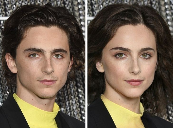 Timothée Chalamet
