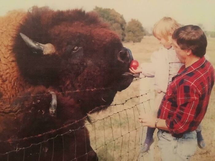 "W dzieciństwie jeździłam z tatą karmić bawoły za miastem. Nazwaliśmy tego giganta Big Daddy."