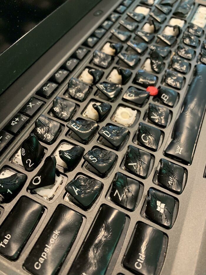"Klient wylał kawę na laptopa, więc postanowił wysuszyć go w piekarniku."