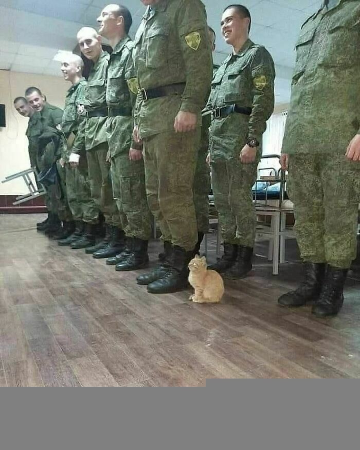 Hmmm... co on tu robi?