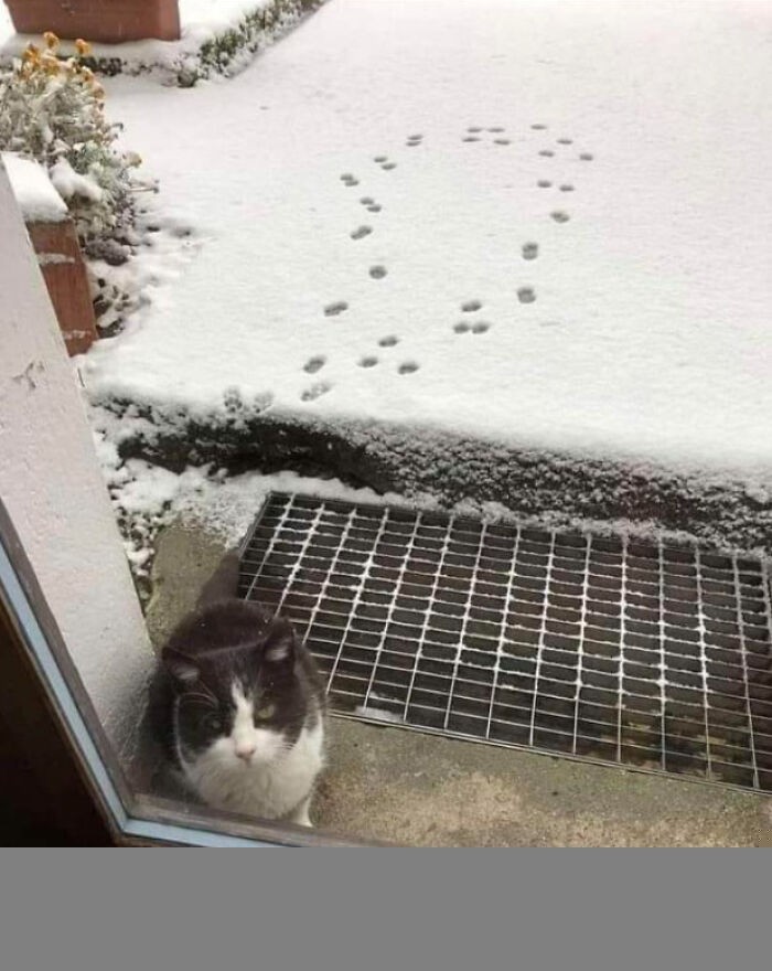 Hmmm.. chyba mu się nie podoba