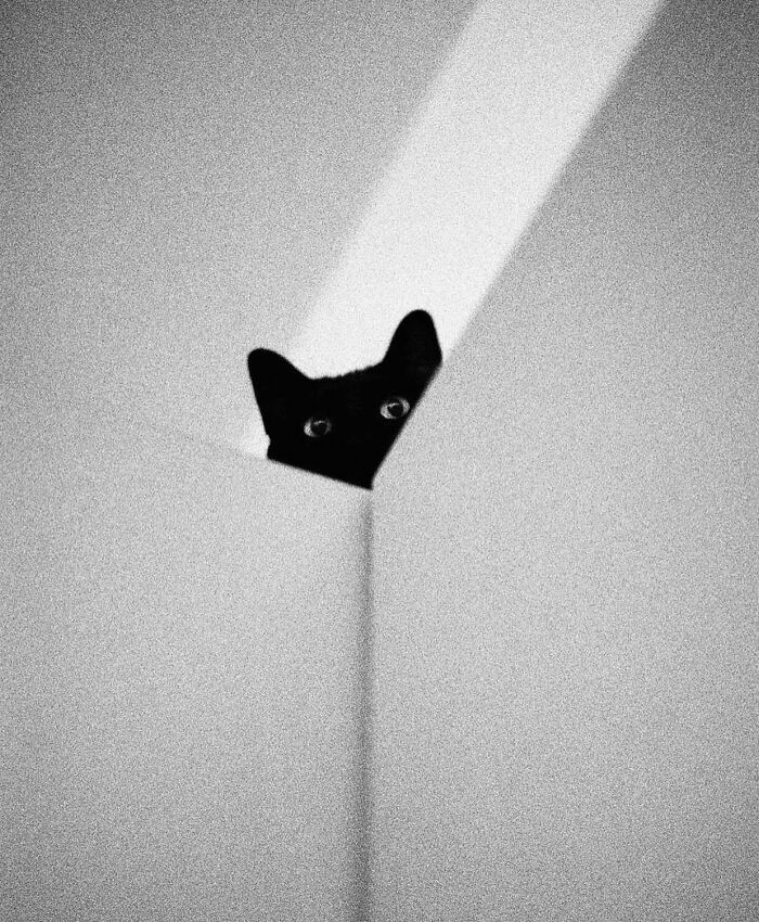 #2 Photo By Jilbertolo