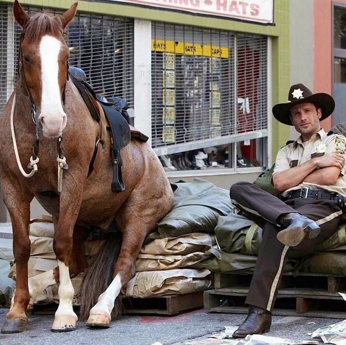 #1 The Walking Dead (2010-)