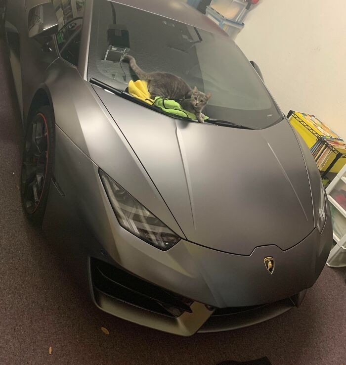 #8 Lady, specjalistka od detailingu auta