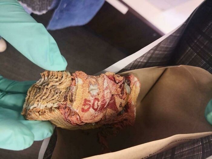 5000-dolara w Kanadzie po tym, jak ktoś użył mikrofalówki do dezynfekcji