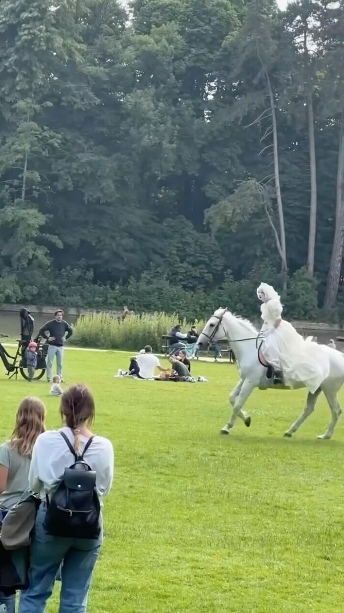 Ktoś zapomniał, że koń w mieście to jednak tryb hard.