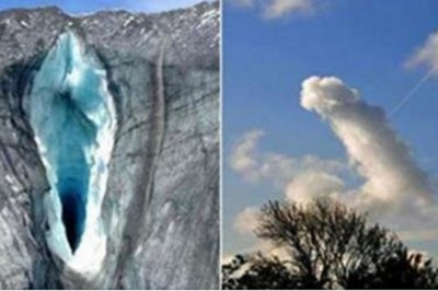 14 całkowicie niewinnych zdjęć natury które u każdego budzą sprośne myśli! Truskawka to już przesada! 