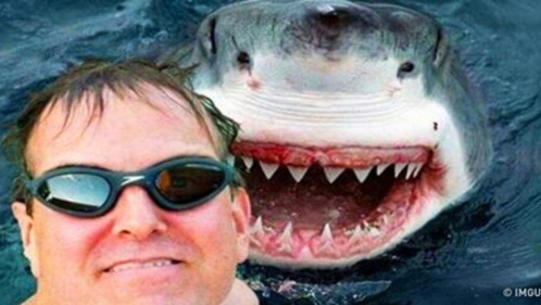 14 ekstremalnych selfie które przyprawią Cię o dreszcze od samego oglądania! Dla sławy ryzykują życie!