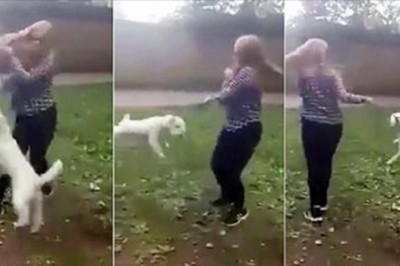 14 latka szarpie psa za smycz i zaczyna kręcić nim w kółko! Pies był zupełnie bezsilny...