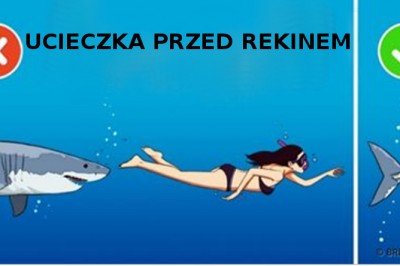 18 faktów które zupełnie Cię zaskoczą! W pierwszej chwili stwierdzisz, że to nie możliwe! 