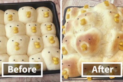 25 kuchennych wpadek które uświadomią CI że nie jesteś najgorszą kucharką! Nr 8 to już przesada :D 