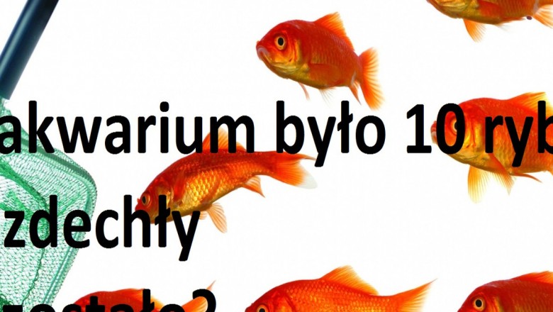 90% ludzie odpowiada błędnie na tą zagadkę! Sprawdź swoje myślenie abstrakcyjne!