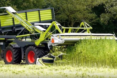 A konopie zbieram sobie własnie tak! Taka praca to ja rozumiem!