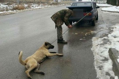 Bezduszny mężczyzna ciągnie swojego psa na linie przywiązanej do auta! Jego tłumaczenie jest straszne!